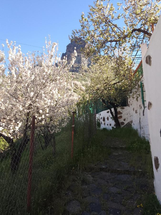 Ilusiones Villa Техеда Екстериор снимка